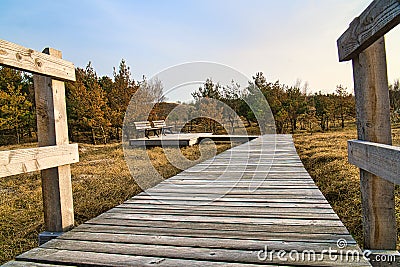 Hiking trail over a wooden walkway to the high dune on the DarÃŸ. National park Stock Photo